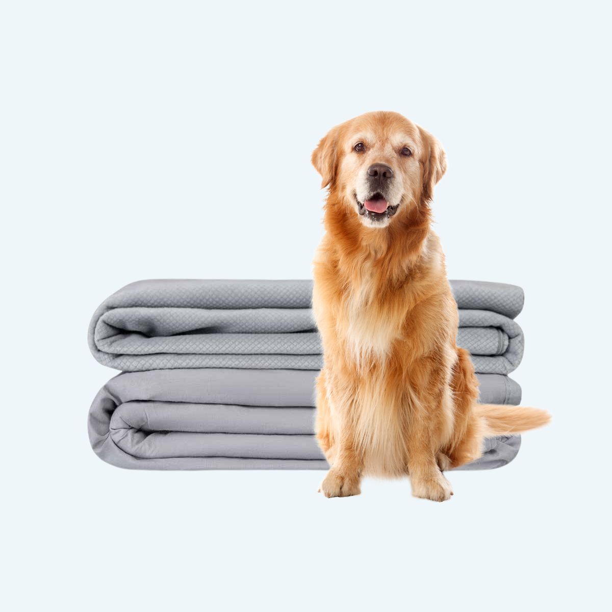 Gravity CalmPaw - Beroligende tæppe mod irritation til hunde